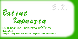 balint kapuszta business card